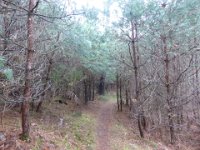 Sortie St Valentin 14 02 2016 (8)